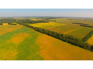 Property photo 14 - MAJOR ILLINOIS LAND AUCTION - 752.54+/- ACRES OFFERED IN 9 TRACTS IN KANKAKEE COUNTY, ILLINOIS